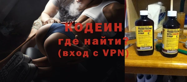 индика Балахна