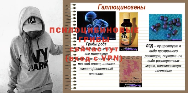 индика Балахна