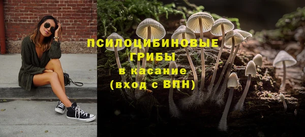 тгк Сафоново