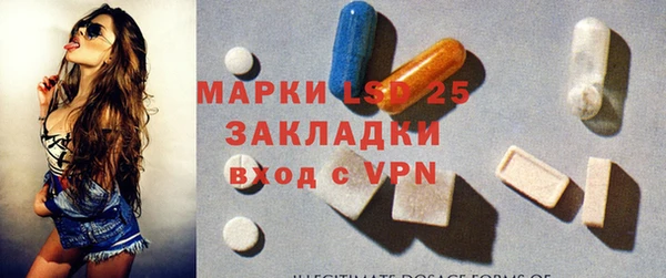 индика Балахна