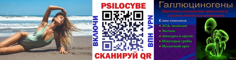 omg сайт Петровск-Забайкальский Псилоцибиновые грибы мицелий купить закладку